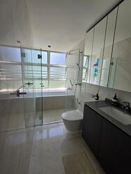 Cairnhill Residences (D9), Apartment #558867791